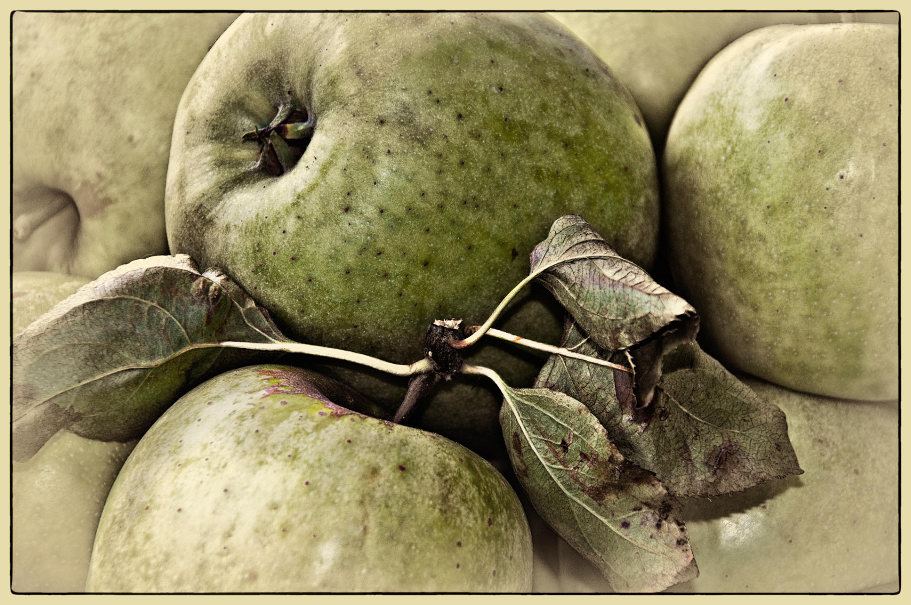 Green Apples. 2010